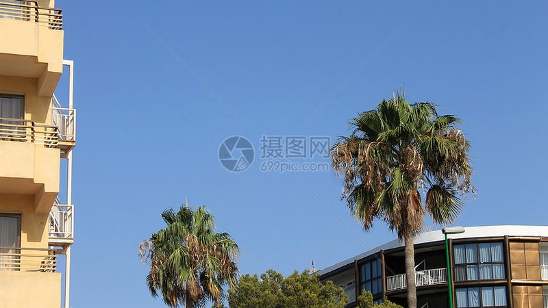 带老人邮轮旅行优缺点